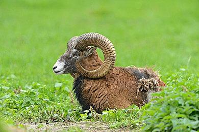 《星际：异端先知》女主直面质疑：玩家终将爱上这游戏